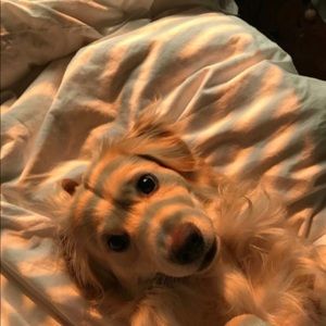 Meet your Posher, Jian